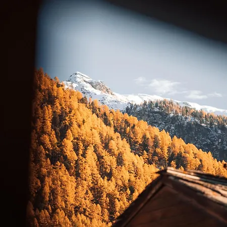 Апартаменты Alpine Nest 1895 *