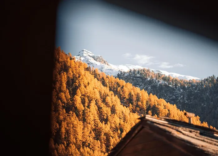 Apartment Alpine Nest 1895 *